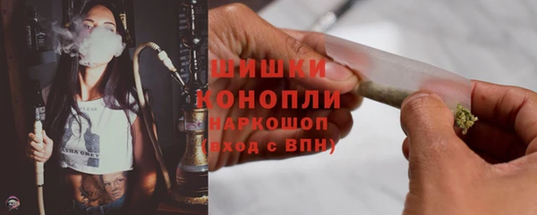 дмт Богородск
