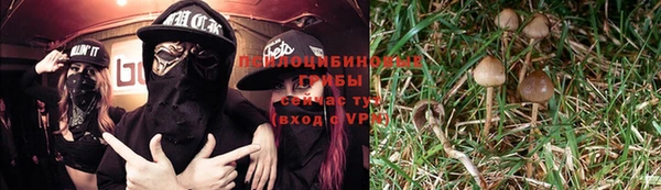 Альфа ПВП Беломорск