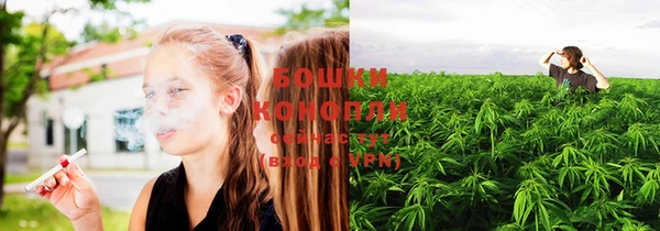 прущая мука Богданович