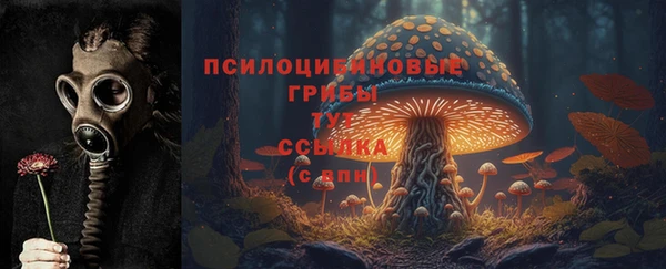 Альфа ПВП Беломорск